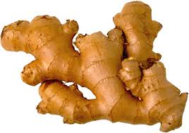 Zingiber officinale