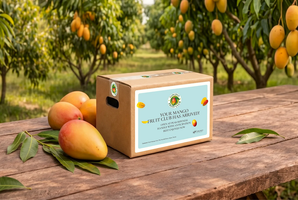 Mango Fruit Club