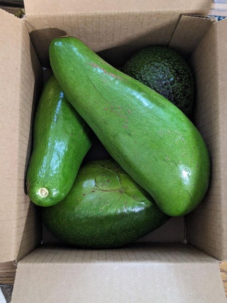 Fairchild Farm Mixed Avocado Box - 7 lb. + Box