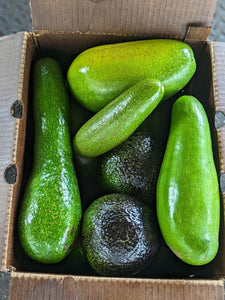 Fairchild Farm Mixed Avocado Box - 20 lb. Box